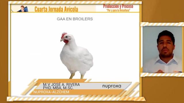 La función de la creatina