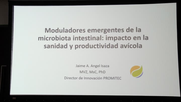 Microbiota y salud intestinal: factores esenciales en la producción animal