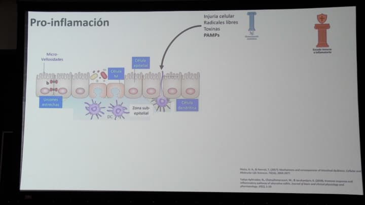 Modulación de la microbiota: base de la nutrición de precisión