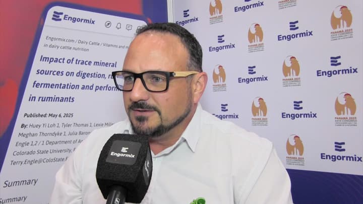 Expansión global de Safeeds: Estrategia y presencia en América Latina y Medio Oriente