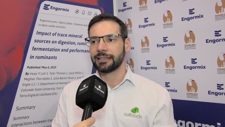 Desafíos y Estrategias para el Control de Micotoxinas en América Latina