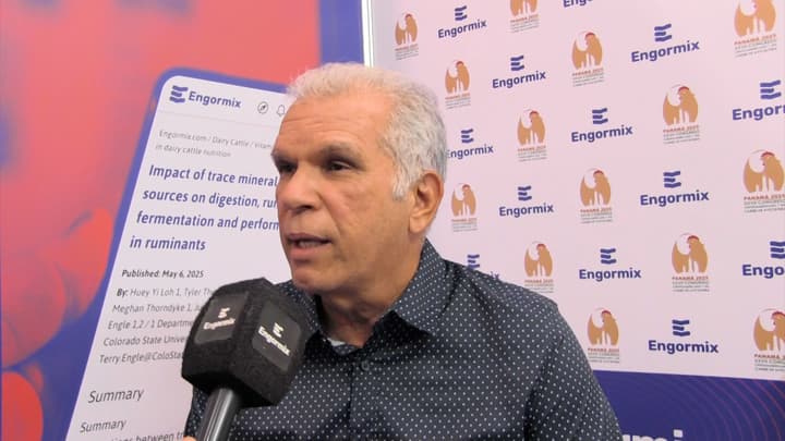 Arcillas hidrofílicas y lipofílicas en el control de fumonisinas