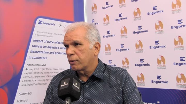 Estrategias prácticas para la reducción de micotoxinas en avicultura
