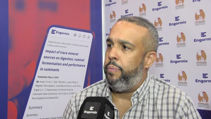 Impacto del Estrés Calórico en la República Dominicana