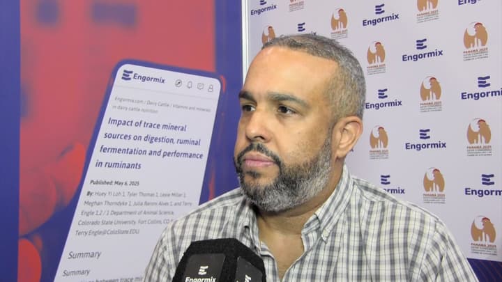 Optimizar la nutrición con enzimas