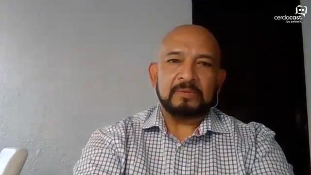 Índices en la producción porcina