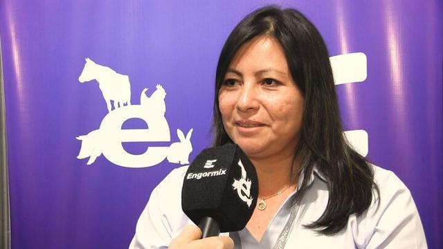 Desafíos nutricionales en cerdos