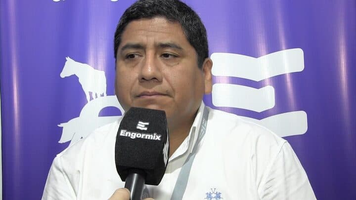 ¿Cómo controlar las enfermedades del Complejo Respiratorio Porcino?