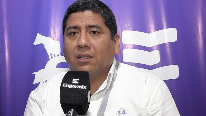Circovirus porcino, alto impacto en el sector