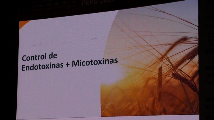 Control de Endotoxinas y Micotoxinas en cerdos