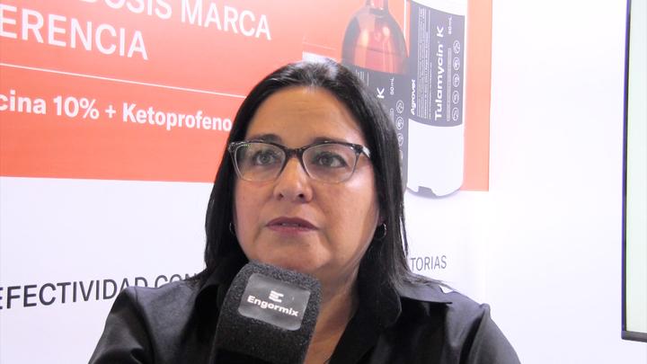 Enfermedades respiratorias en porcinos: Micoplasmosis