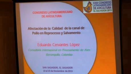 Calidad de la Canal de Pollo