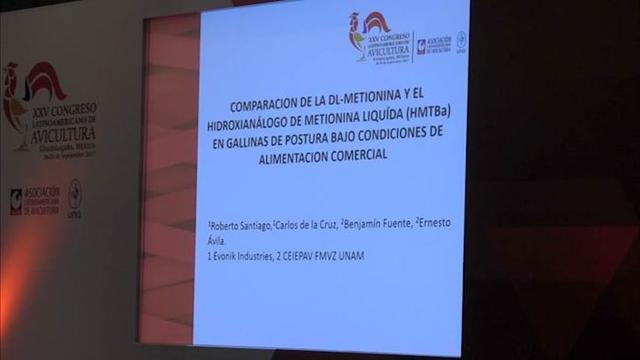 Eficacia de DL-Metionina en gallina de postura