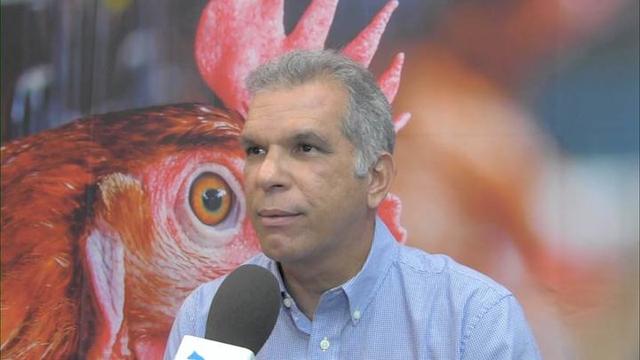 Lesiones asociadas con micotoxinas en mataderos avícolas