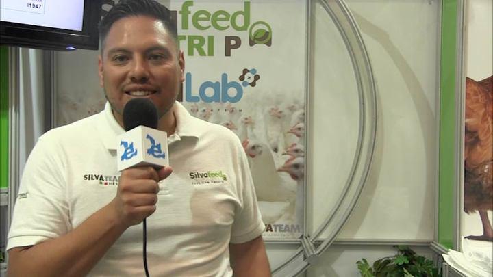 Beneficios de los Taninos en la producción avícola: Armando Patiño Mendoza