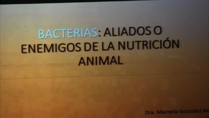 Bacterias: aliados o enemigos en la nutrición animal