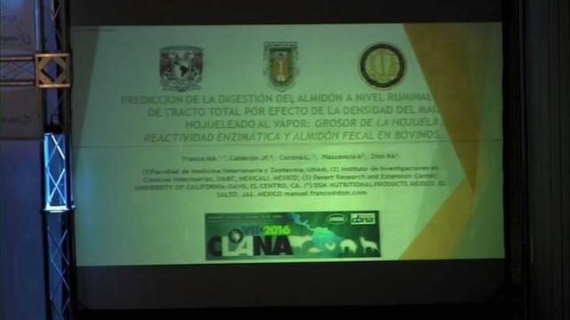 Digestión por efecto de densidad del maíz hojuelado al vapor