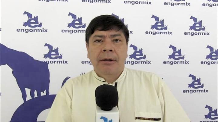 Uso de Biocholine® en ovejas lecheras - Germán Mendoza