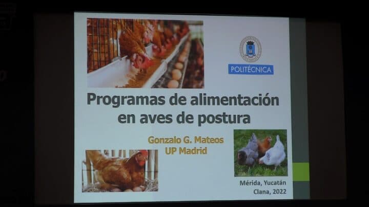 Programa de alimentación en aves de postura