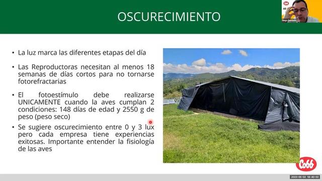 Programa de oscurecimiento en la etapa de producción de huevo