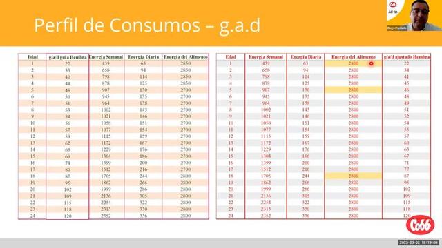 Perfiles de consumo en la producción avícola