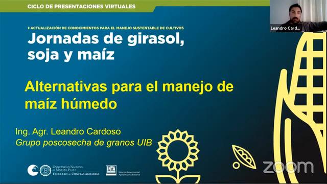Maíz húmedo: Alternativas de manejo