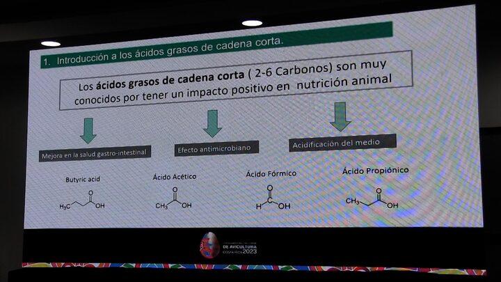 Introducción a los ácidos grasos de cadena corta