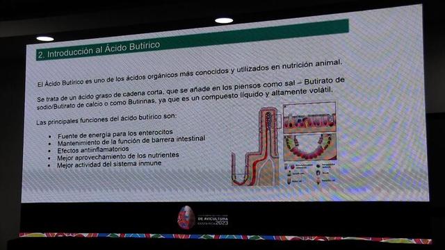 Introducción al ácido butírico