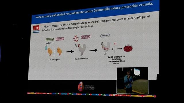 Salmonella: Vacuna oral contra diferentes serovariedades