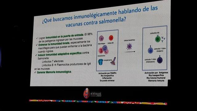 Vacuna contra Salmonella: ¿Qué se busca?