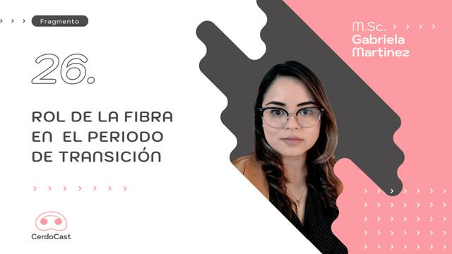  Fibra en la alimentación de las cerdas