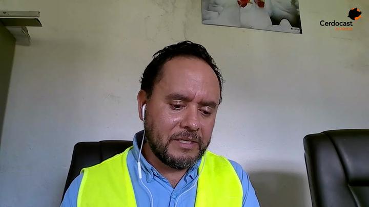 Energía en dietas porcinas: Clave para el rendimiento