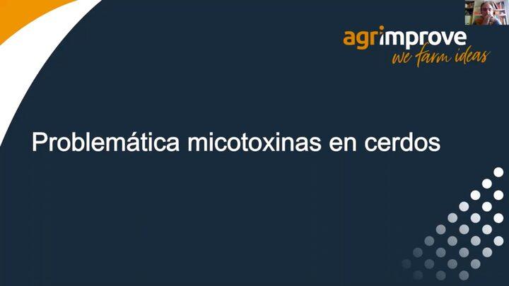 Micotoxinas en cerdos. Claves para combatirlas