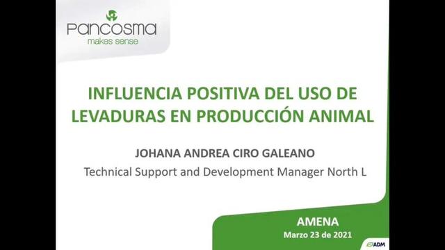 Levaduras en producción animal, Influencia positiva