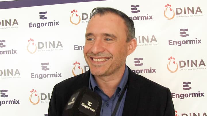 Manejo de primera semana de pollito BB