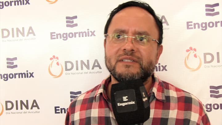 Modelaje en la formulación en nutrición animal