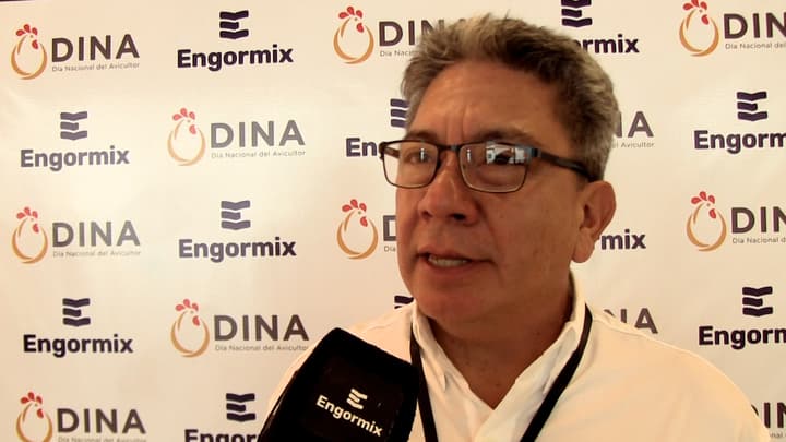 Desafíos y salud digestiva en avicultura