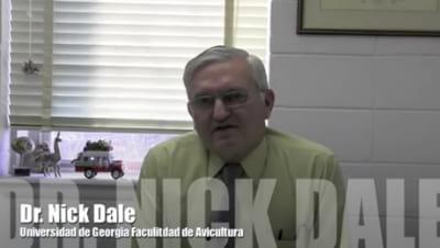 Los pollos y las hormonas, Video del Dr. Nick Dale