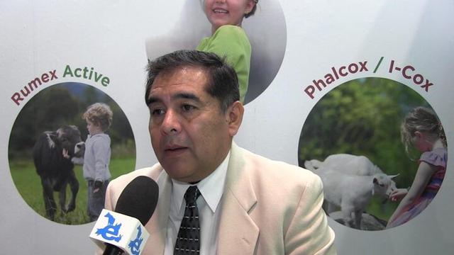 Programas enzimáticos para mejorar la utilización de soya