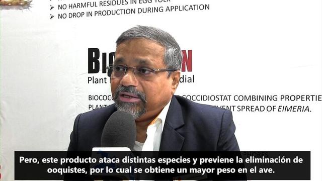 Productos naturales: Importancia de su uso en avicultura