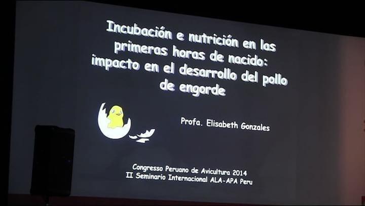 Pollitos: Nutrición en Incubación y primeras horas: Dra. Elisabeth Gonzales
