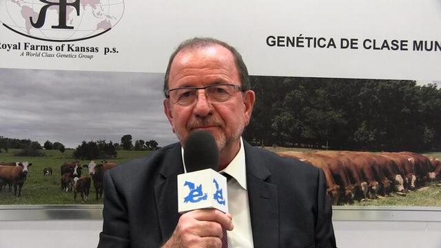 Complejo alimenticio para equinos