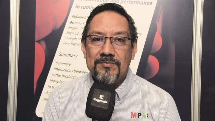 Humedad sin riesgo de hongos en pet food