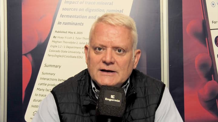 Proteína de huevo en polvo: alto valor biológico para nutrición pet premium