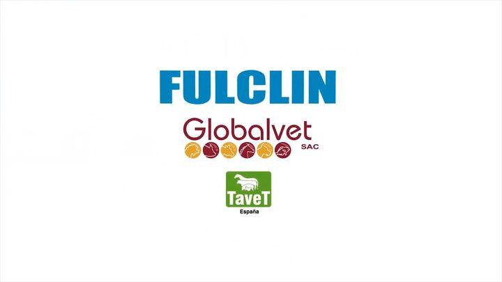 Fulclin: Desinfectante de amplio espectro