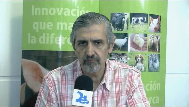 Línea de productos para mascotas de Porfenc: Antioxidantes