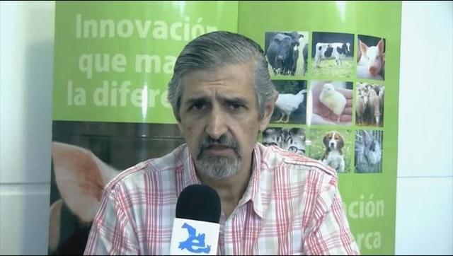 Línea de productos para mascotas de Porfenc: Fibras funcionales