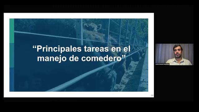 Feedlot: Principales tareas en el manejo de comedero