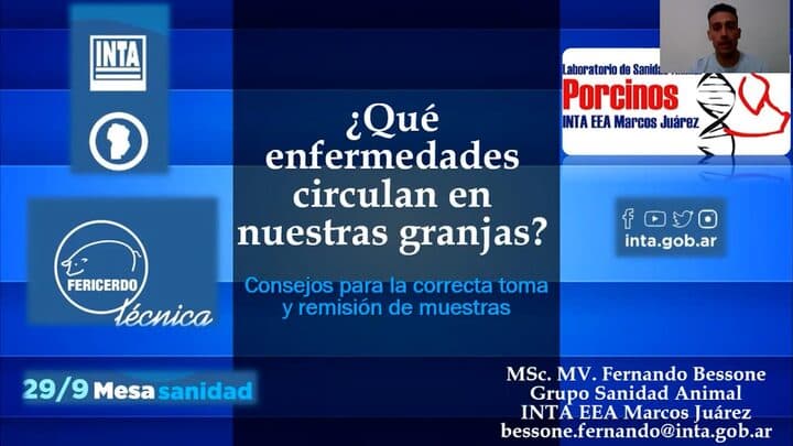 Que enfermedades circulan en nuestra granja? Toma de muestras