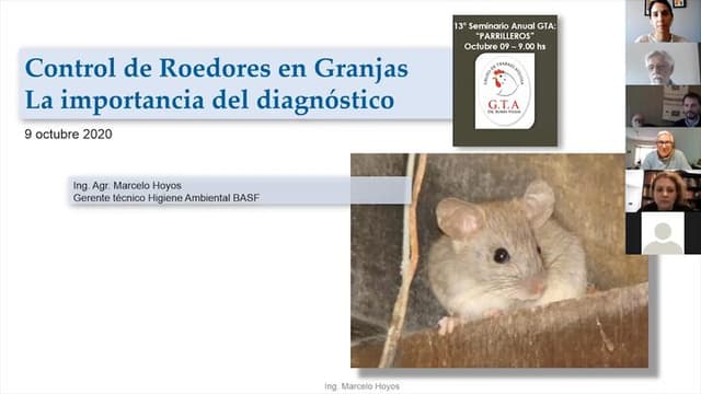 Manejo de roedores en avicultura | Engormix